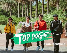 91泡芙《TOP DOG》免费在线观看