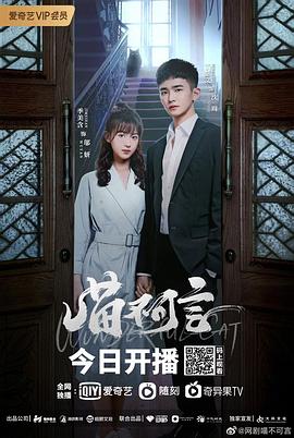 91泡芙视频《喵不可言》免费在线观看