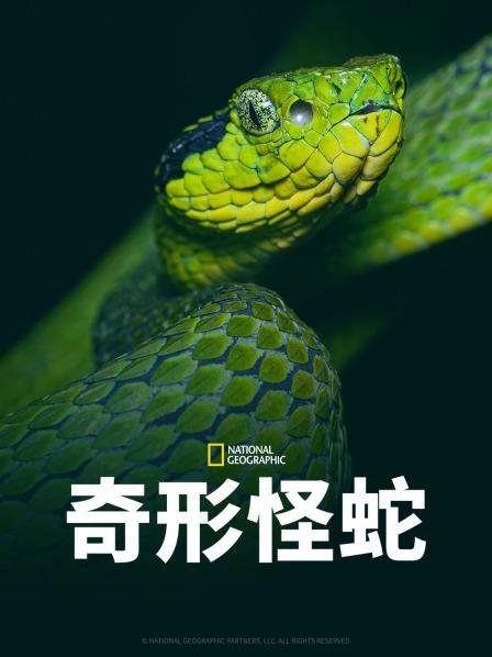 91泡芙视频《奇形怪蛇》免费在线观看